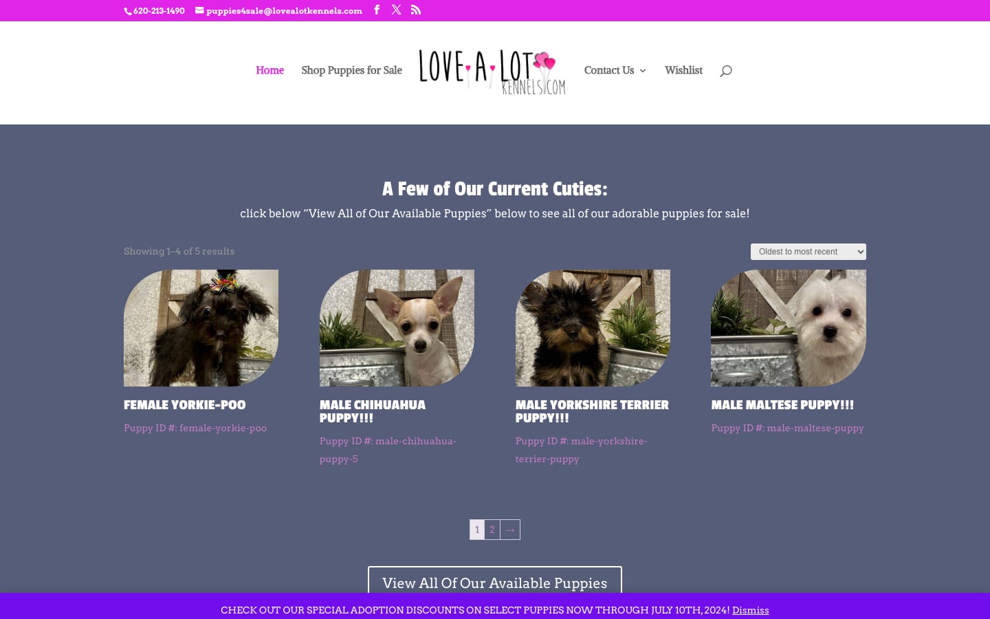 Love A Lot Kennels website homepage